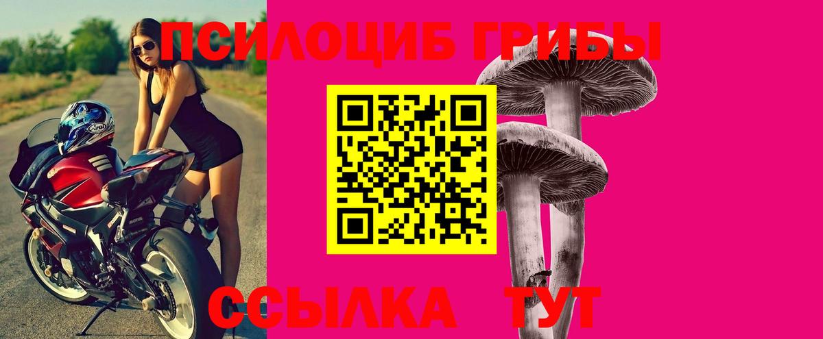 дарнет шоп  Галлюциногенные грибы ЛСД  Вход с VPN  Краснознаменск 